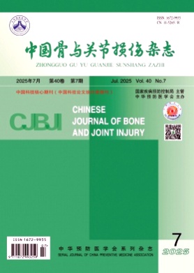 中国骨与关节损伤杂志杂志